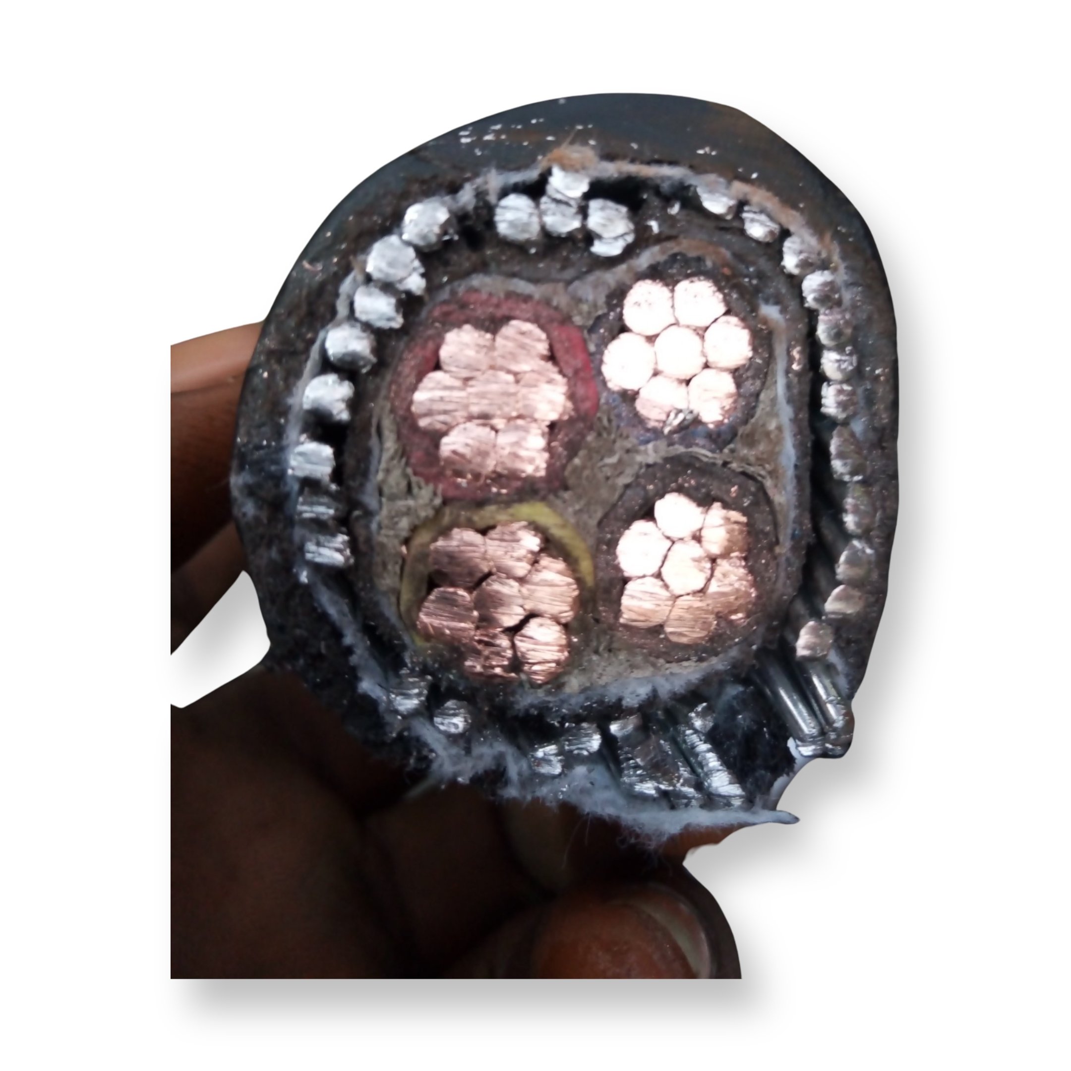 16mm×4core armored  turkey cable